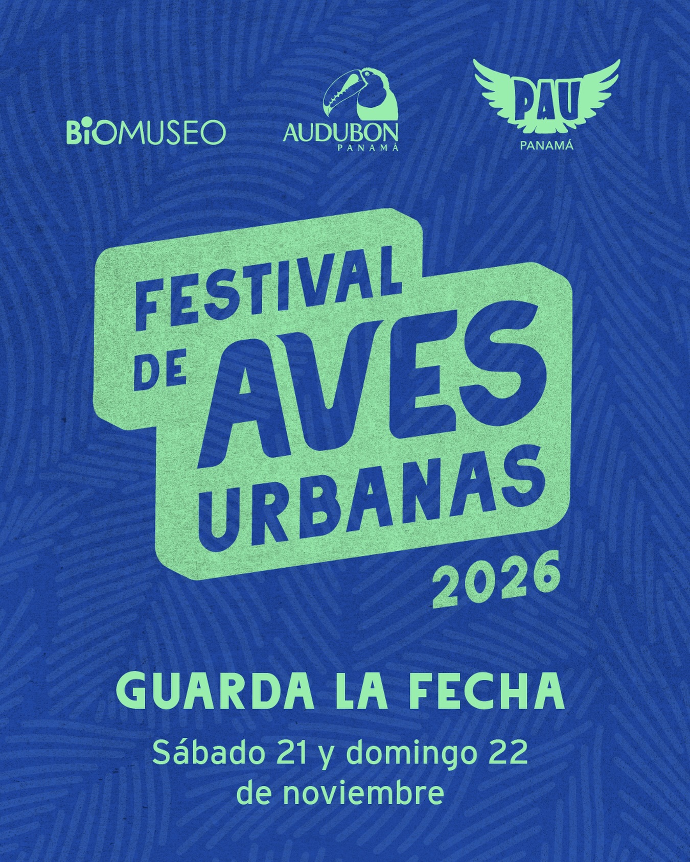 Festival de Aves Urbanas 2026