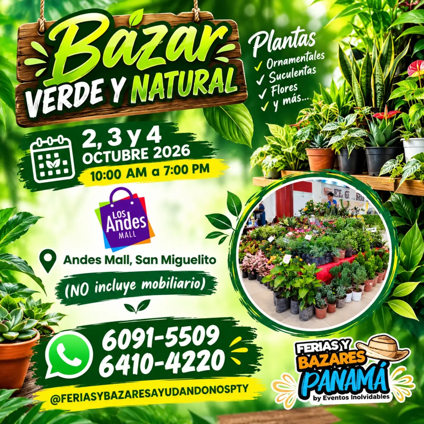 Bazar Verde y Natural